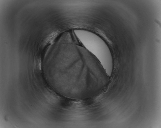 X0000091710068200709210949