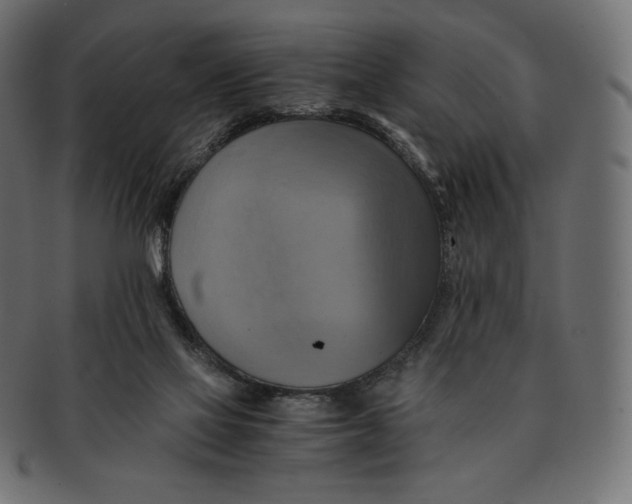 X0000091710069200709210949