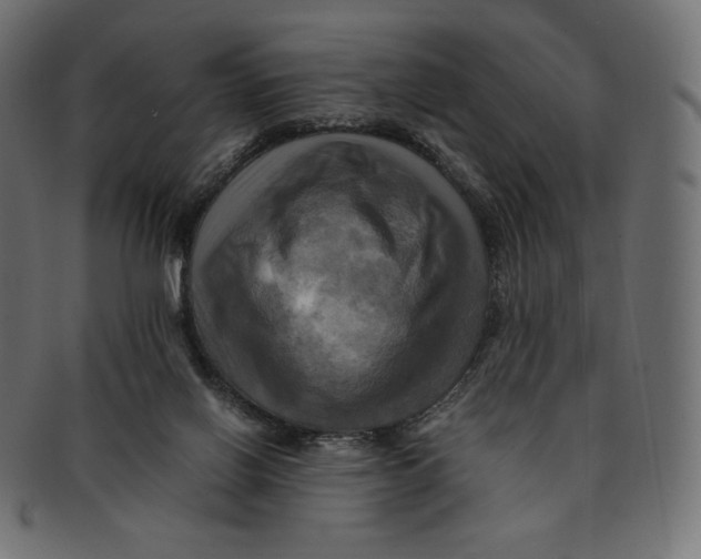 X0000091710070200709210949