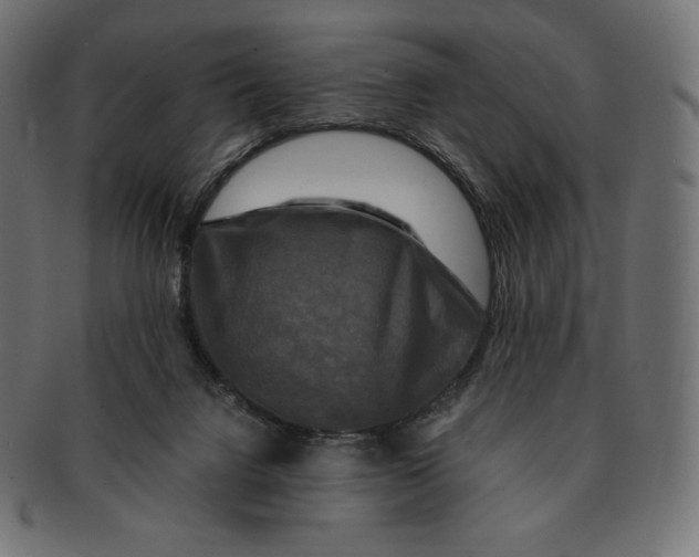 X0000091710072200709210949