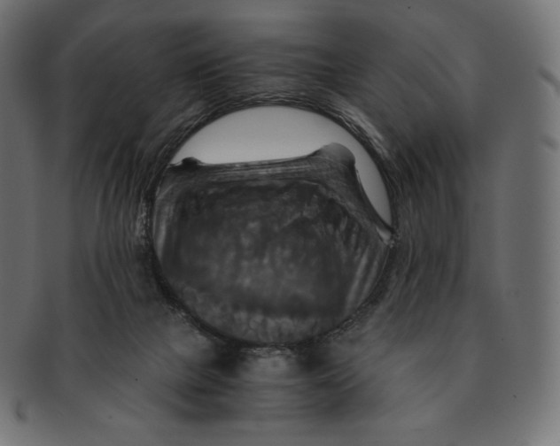 X0000091710073200709210949