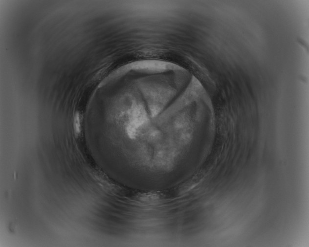 X0000091710075200709210949