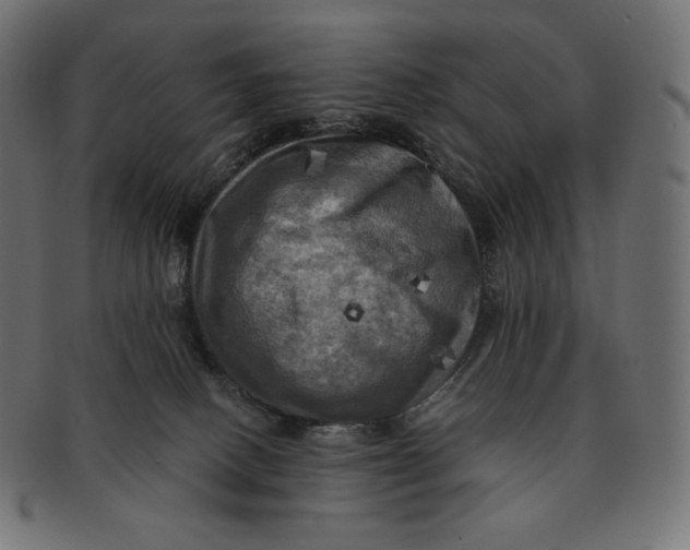 X0000091710082200709210949