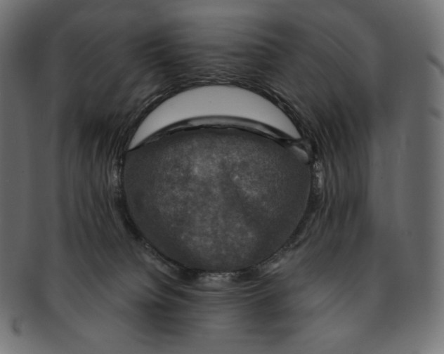 X0000091710084200709210949