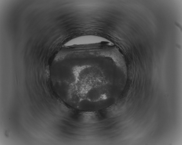 X0000091710085200709210949