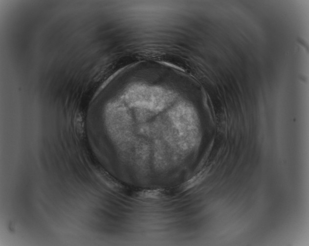 X0000091710086200709210949