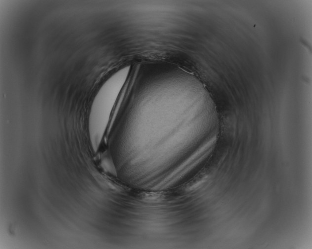 X0000091710088200709210949