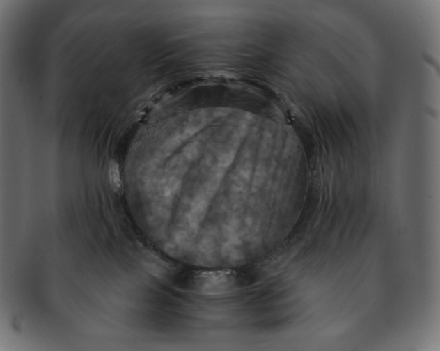 X0000091710089200709210950