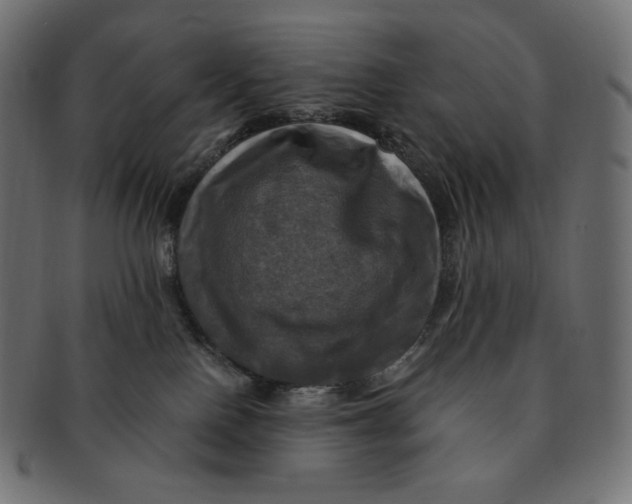 X0000091710090200709210950