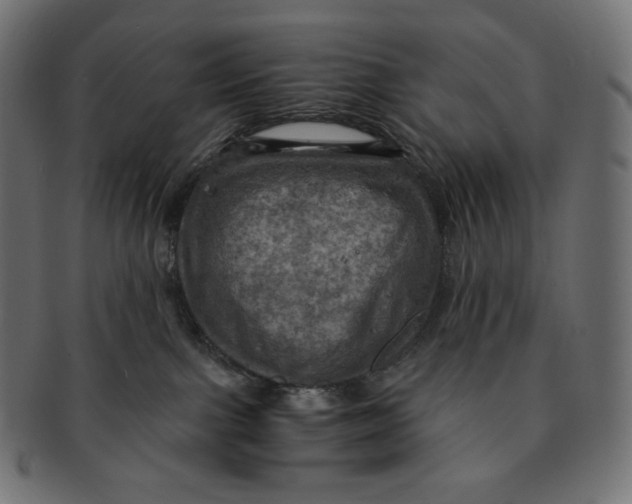 X0000091710091200709210950