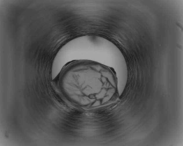 X0000091710092200709210950