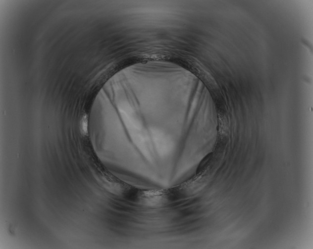 X0000091710095200709210950