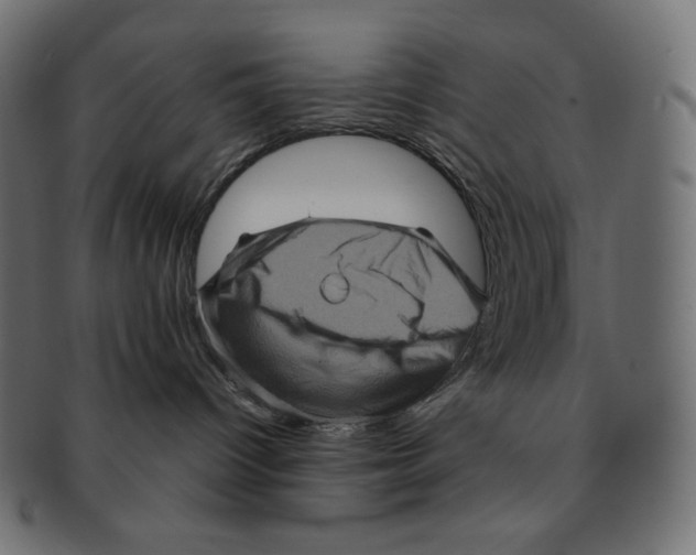 X0000091710096200709210950