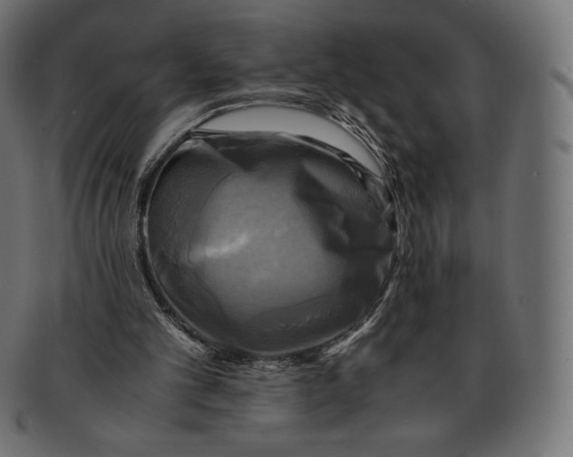 X0000091710101200709210949