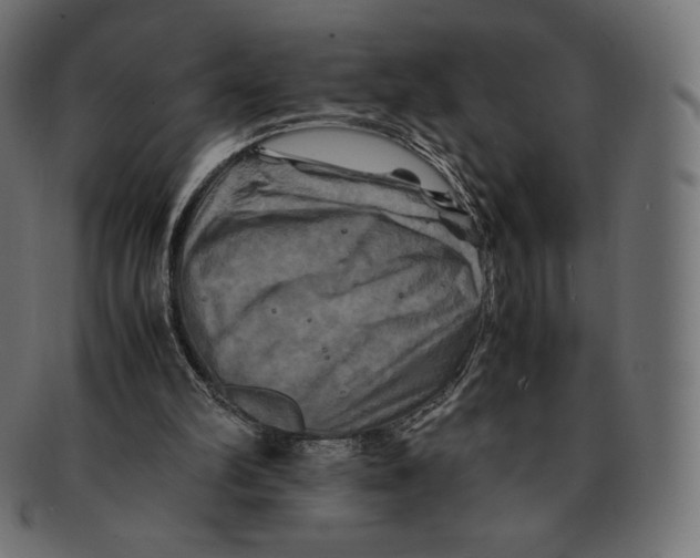 X0000091710102200709210949