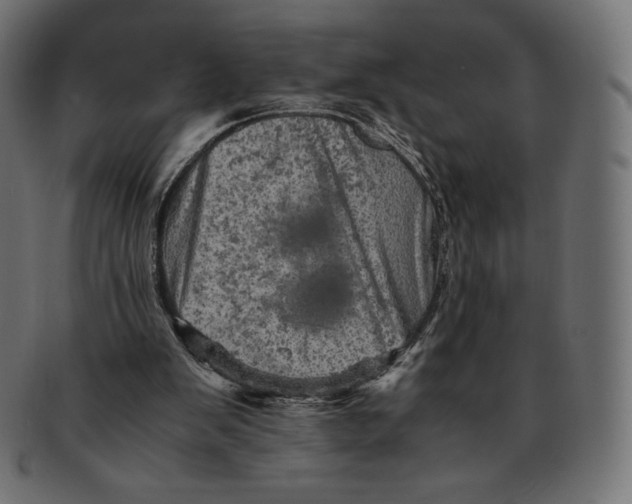 X0000091710103200709210949