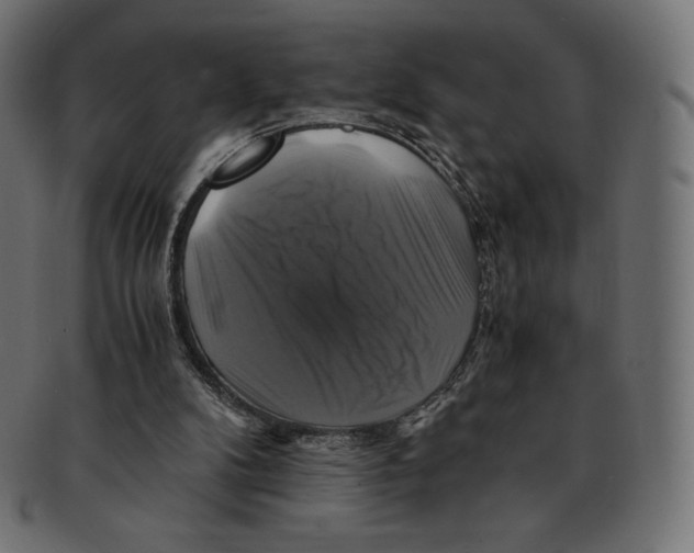 X0000091710104200709210949