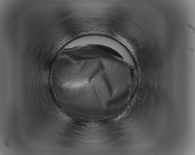 X0000091710105200709210949