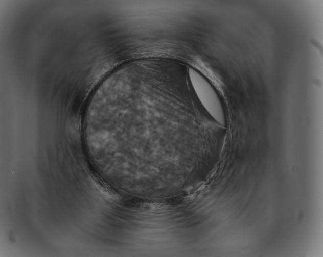 X0000091710107200709210949