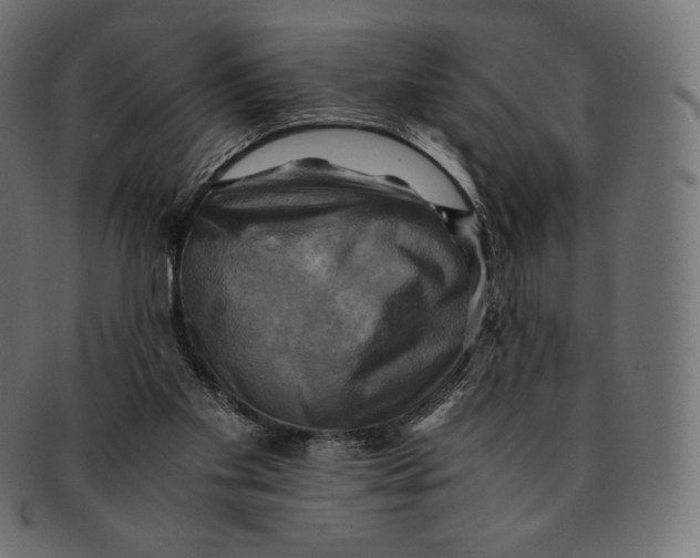 X0000091710109200709210949