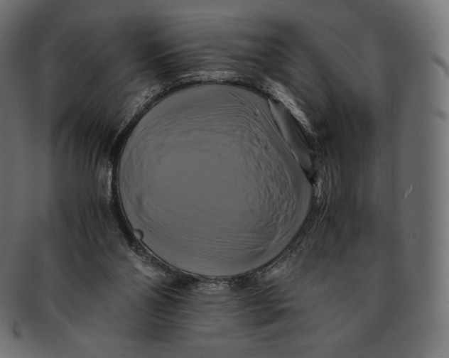 X0000091710110200709210949