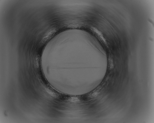 X0000091710114200709210949