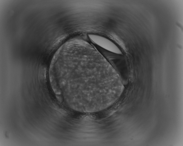 X0000091710115200709210949