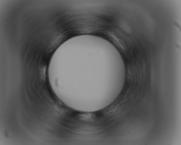 X0000091710118200709210949