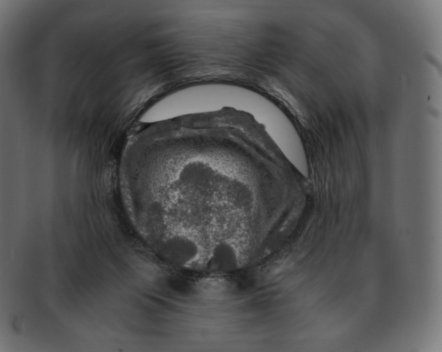 X0000091710119200709210949