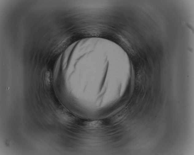 X0000091710122200709210949