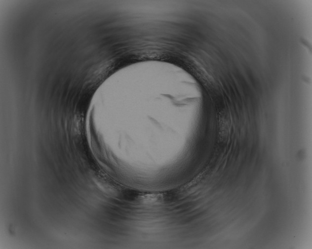 X0000091710126200709210949