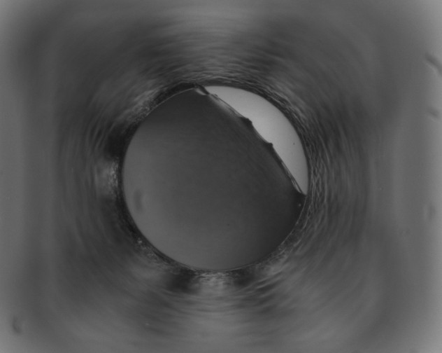 X0000091710127200709210949