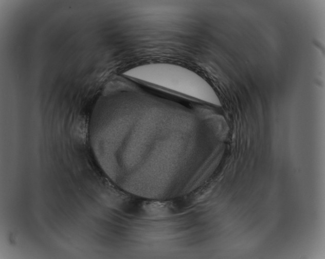 X0000091710129200709210949