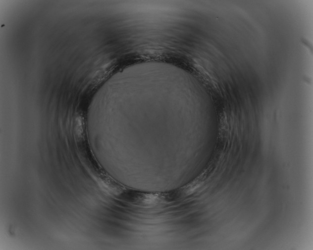 X0000091710130200709210949