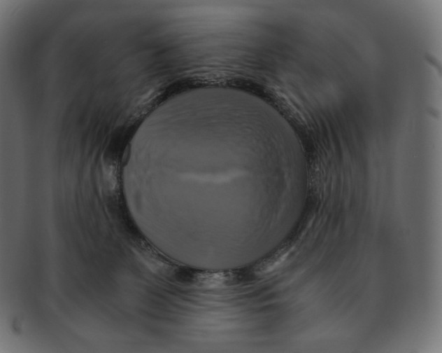 X0000091710131200709210949