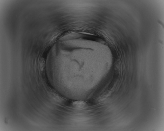 X0000091710133200709210949