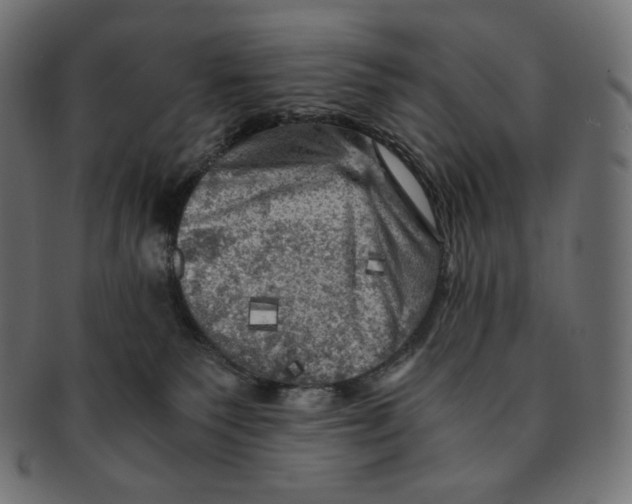 X0000091710135200709210949