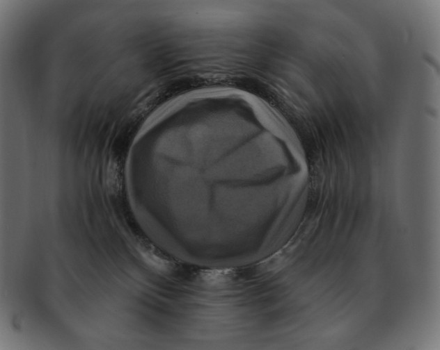 X0000091710136200709210949