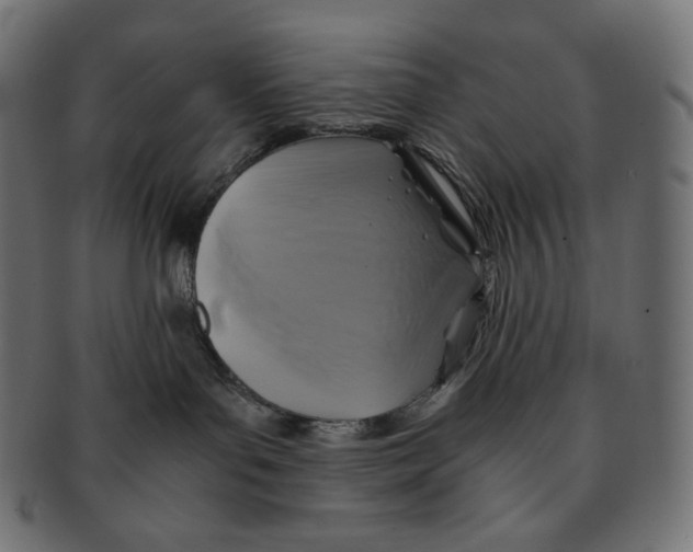 X0000091710143200709210948