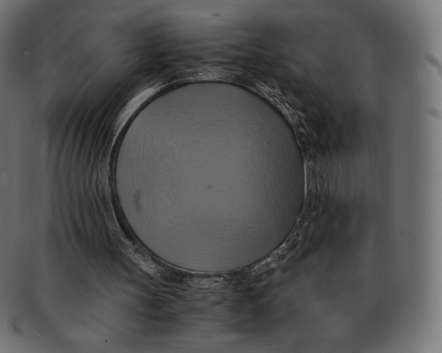 X0000091710147200709210948