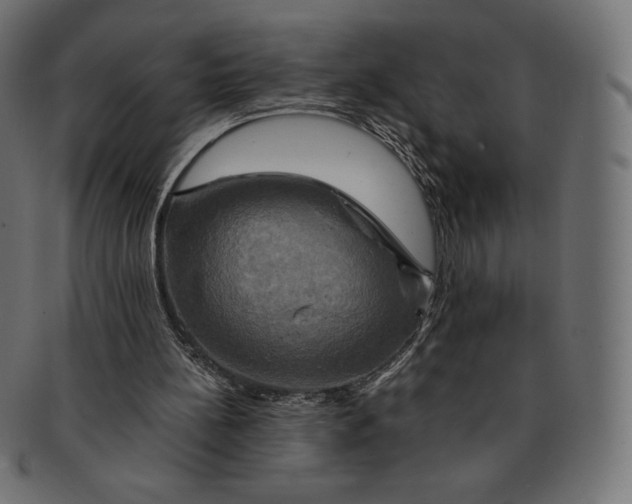 X0000091710148200709210948