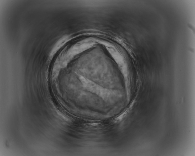 X0000091710151200709210948