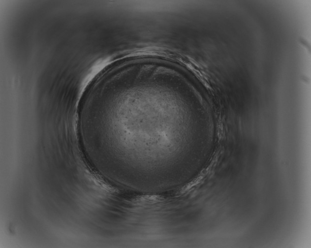 X0000091710152200709210948