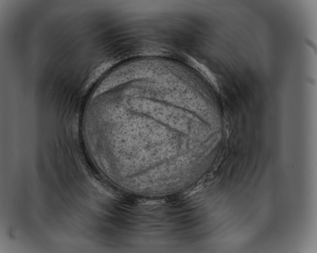 X0000091710155200709210948