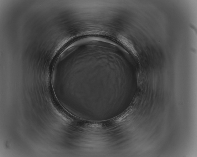 X0000091710156200709210948