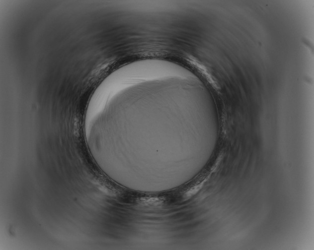 X0000091710161200709210948