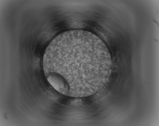 X0000091710162200709210948