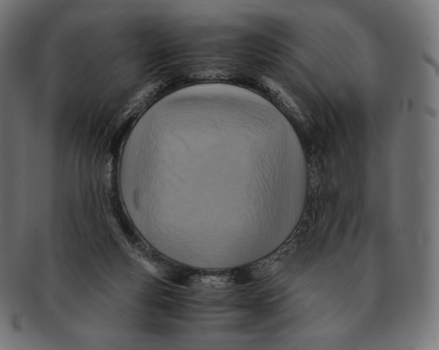 X0000091710163200709210948