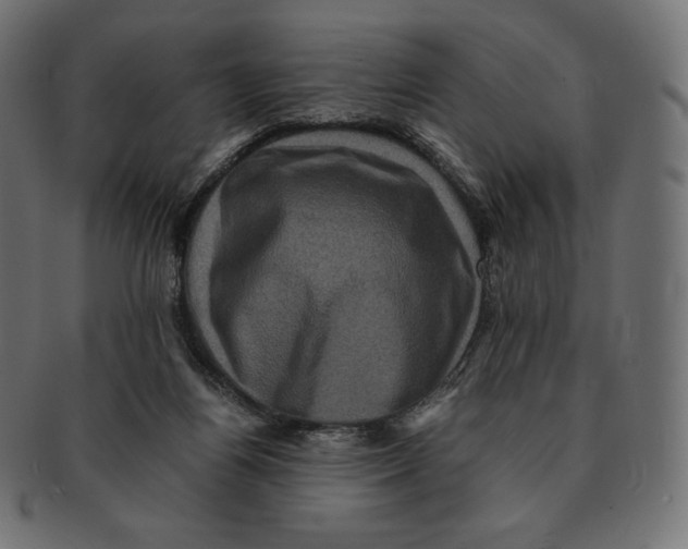 X0000091710164200709210948