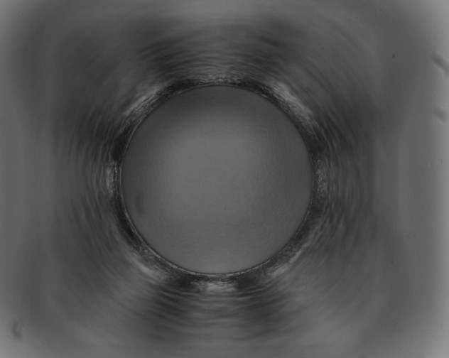 X0000091710165200709210948